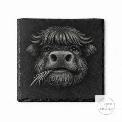 Chewing-Grass Highland Cow Slate Coaster – Cheeky Cow Collection