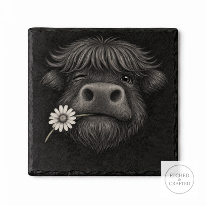 Daisy Highland Cow Slate Coaster – Cheeky Cow Collection